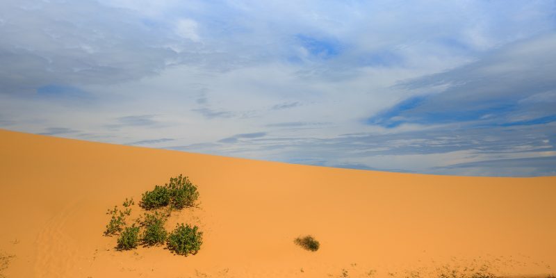 phan thiết